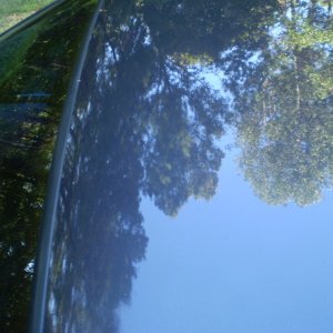 P1010111