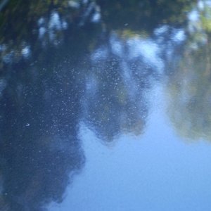 P1010112