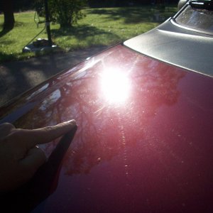 Swirls on the Van Hood in the Mid-morning Sun