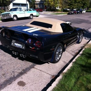 EpicVette