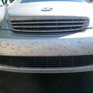 Bugs1