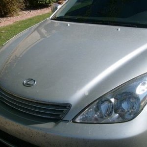 Front_Angle_Before