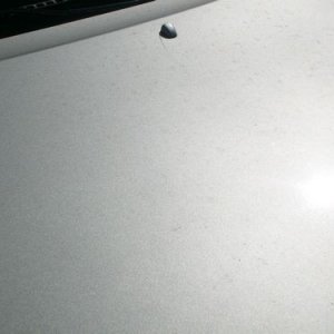 Hood_Close_up_Before
