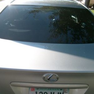Trunk_After