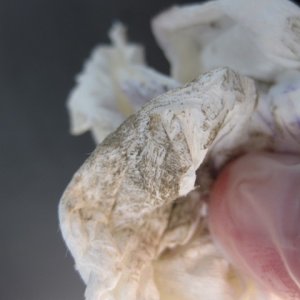Review: Leather Masters