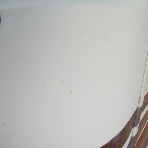 DSC02877