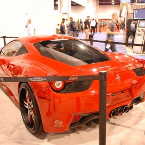 AG1_29231