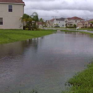 ditch