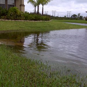 frontyard