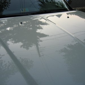 Hood2 08 300C