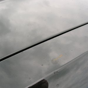 DSCN3924