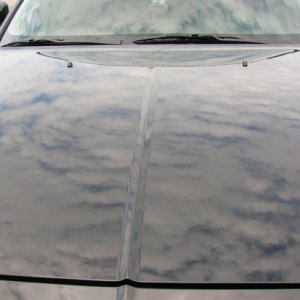 DSCN3953