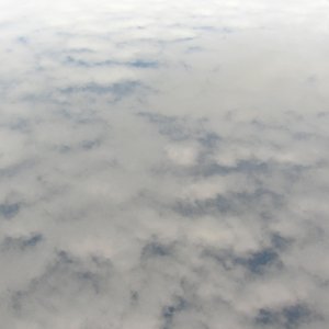 DSCN3952