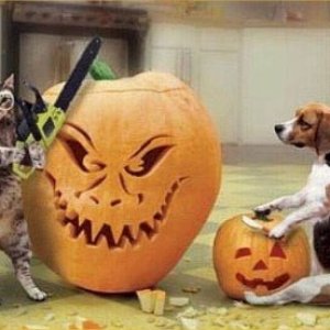 pumpkin-carving-1