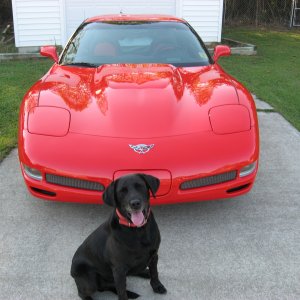 Buddy
