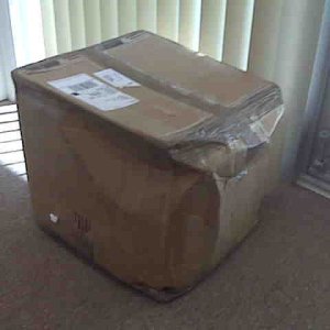 IMG00347