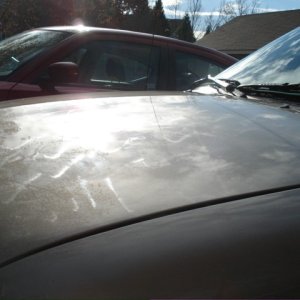 Sealant VS Wax