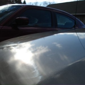 Sealant VS Wax