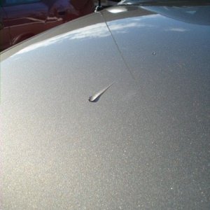 Sealant VS Wax