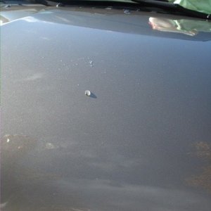 Sealant VS Wax