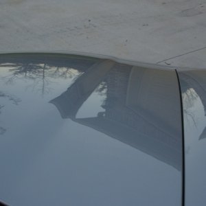 Vette11-2010-4