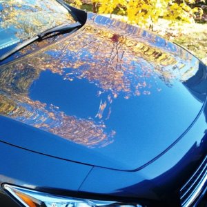 Fall Refresh