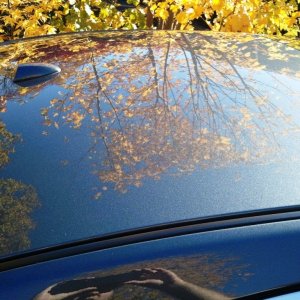 Fall Refresh