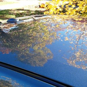 Fall Refresh