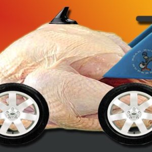 Ten-Auto-Turkeys