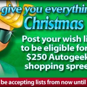 Autogeek Christmas Wish List Giveaway 2010