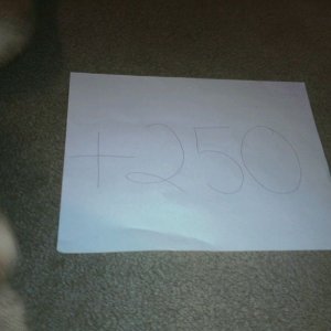 6006