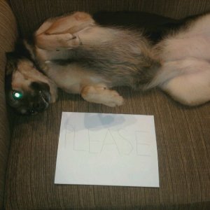 6009