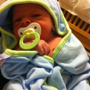 dominic2