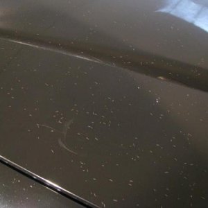 Cracks Crows Feet Lacquer Checking