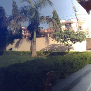 Reflection shot of the garden!