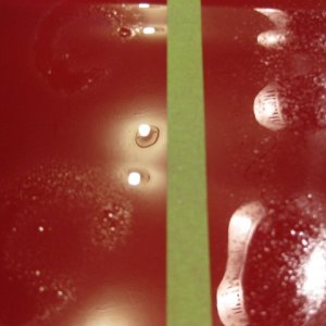 04-During1