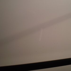 P1010206