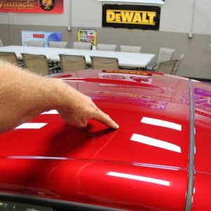 Scott's Scratch