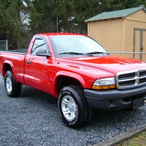 S42000011