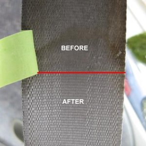 08-Seatbelt_50-50