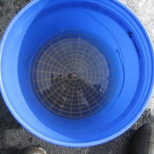 Rinse Water after car is finished