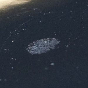 CC defect