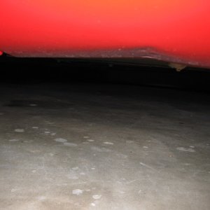 IMG_40881