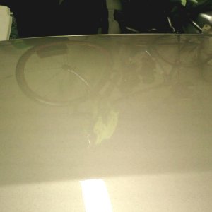 2001 S10 hood