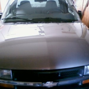 2001 S10 hood