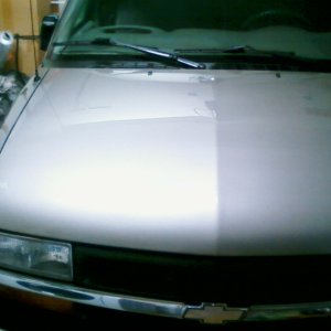 2001 S10 hood