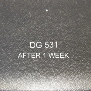 DG_531