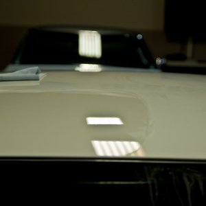 IMG_8221