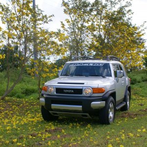 FJ CRUISER   2007