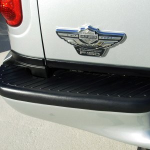 DryShineTrim1-